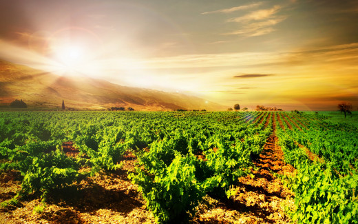 946164 (a): :2880x1800